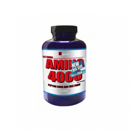 AMINO 4000