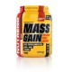 MASS GAIN